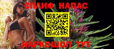 стаф Краснодар