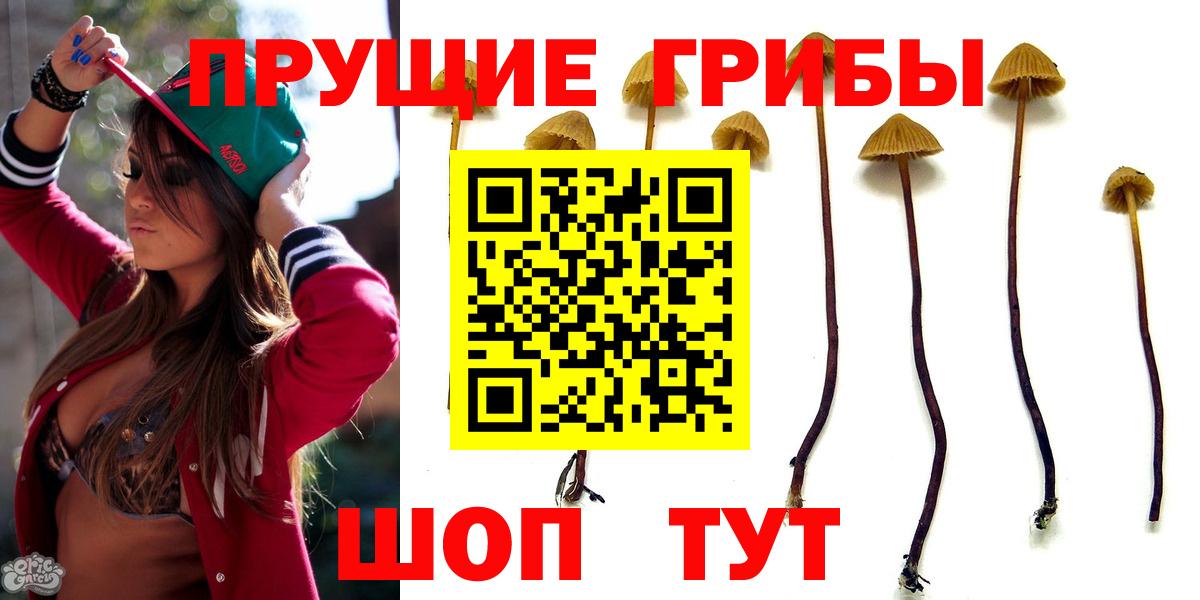 Галлюциногенные грибы прущие грибы Кандалакша